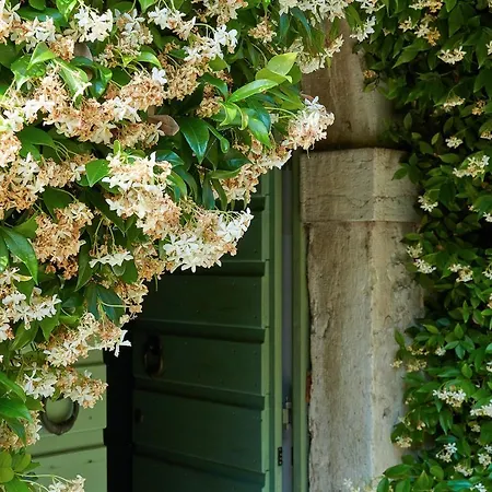 Cisano Residenza D'epoca Apartman